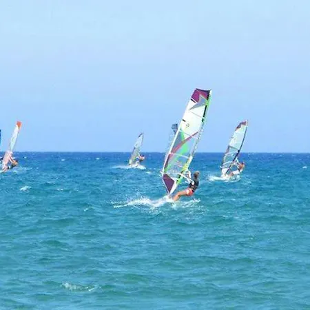 Akrotiri Vine A * ليماسول