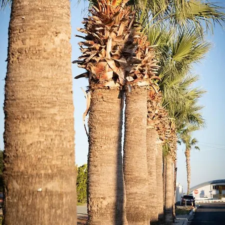 Akrotiri Vine A بيت للعطل