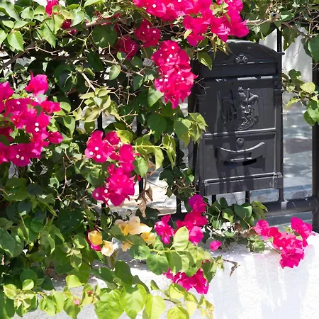 Akrotiri Vine A بيت للعطل *