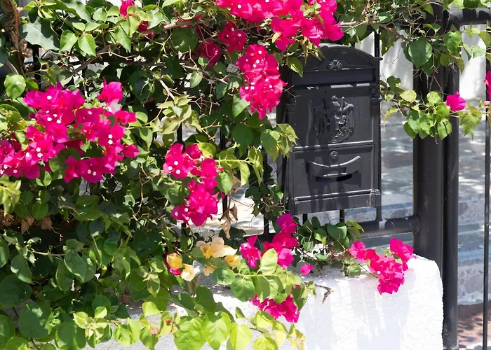 Akrotiri Vine A Holiday home *