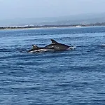 Akrotiri Vine A Сasa de vacaciones Limassol