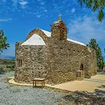 Akrotiri Vine A