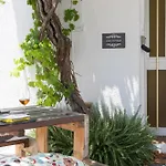 Akrotiri Vine A Feriehus