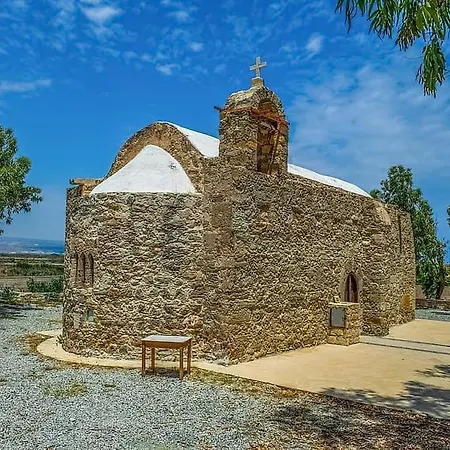 Akrotiri Vine A