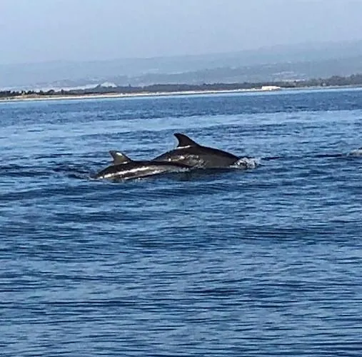 Akrotiri Vine A Сasa de vacaciones Limassol