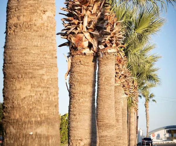 Akrotiri Vine A Сasa de vacaciones