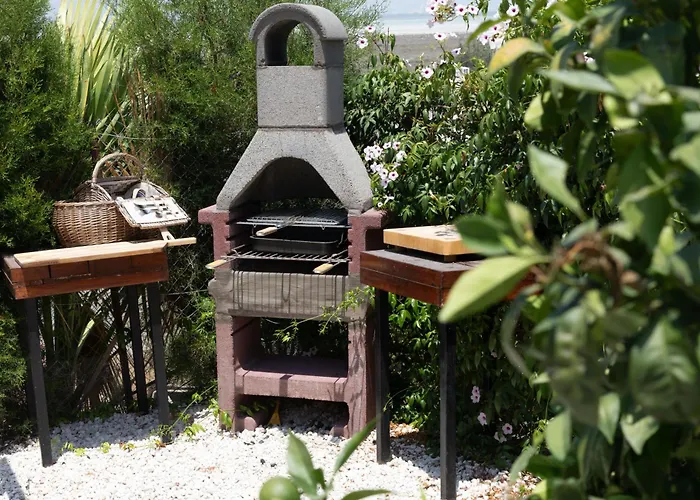 Akrotiri Vine A * Lemesos