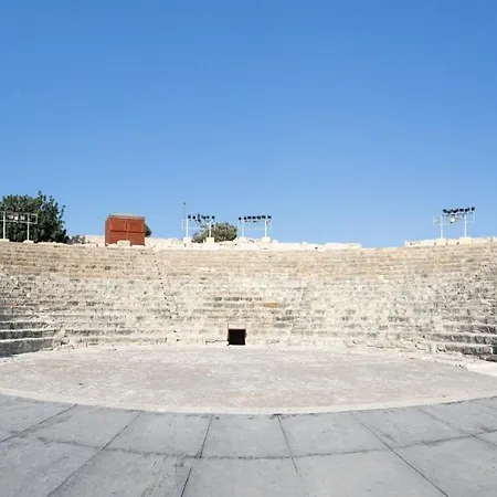 Akrotiri Vine A *